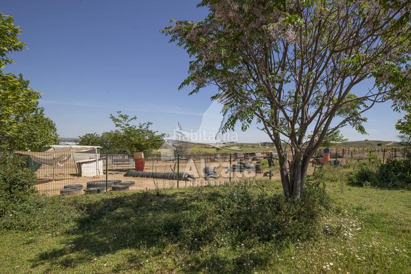 Foto 2be87ed1-4358-4acf-9f52-63f6a4c33aa5. Residential plot in Santos de la Humosa (Los)