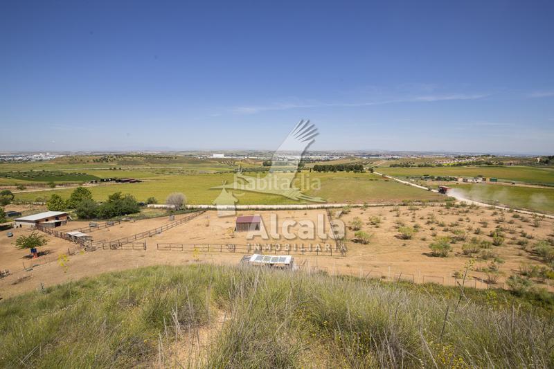 Foto 3adc7650-f310-4350-943b-dfa39fbe65c7. Residential plot in Santos de la Humosa (Los)