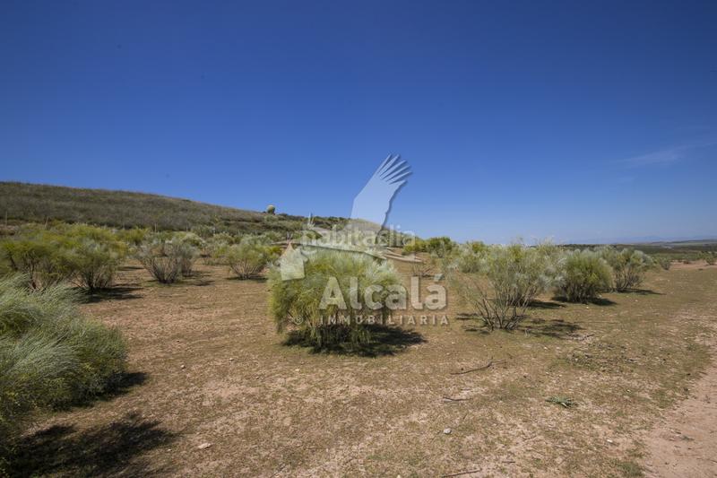 Foto 4d7d03c9-6136-4794-9d91-e28ce662fd05. Residential plot in Santos de la Humosa (Los)