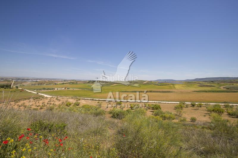 Foto 5445c1c3-3988-4dd4-9067-922be54221a0. Residential plot in Santos de la Humosa (Los)