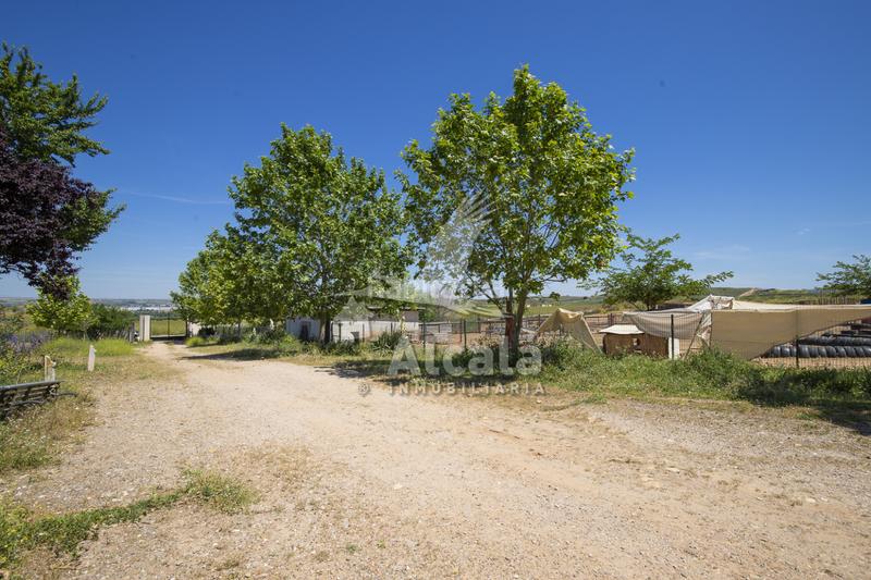 Foto 56d9adf4-377a-4a2d-aac9-054ede70bc4f. Residential plot in Santos de la Humosa (Los)