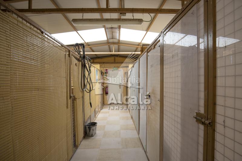 Foto 5cbd48b0-ec91-4fe5-ba4c-2c512a33aa4b. Residential plot in Santos de la Humosa (Los)