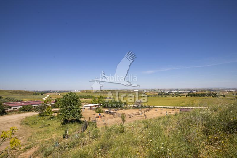 Foto 641c7901-ed13-4924-b6da-4e3696cbcd7f. Residential plot in Santos de la Humosa (Los)