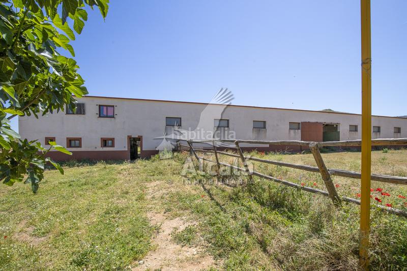 Foto 643d1591-e6aa-4e11-bd1f-2c138a40c30c. Residential plot in Santos de la Humosa (Los)