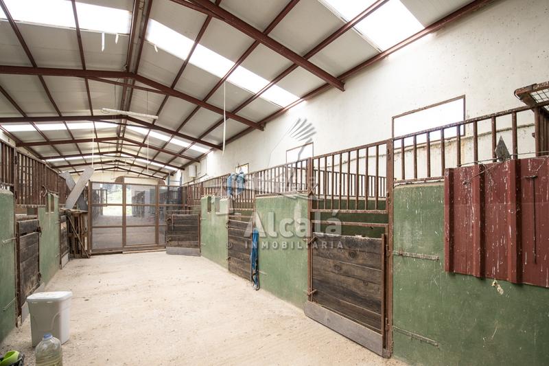 Foto 685091ce-d6fc-425b-9673-7b870c3237e2. Residential plot in Santos de la Humosa (Los)