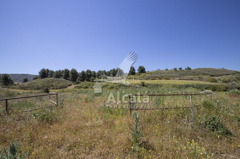 Foto 6ba0f4e9-8849-407c-b96c-fe81496b83b4. Residential plot in Santos de la Humosa (Los)