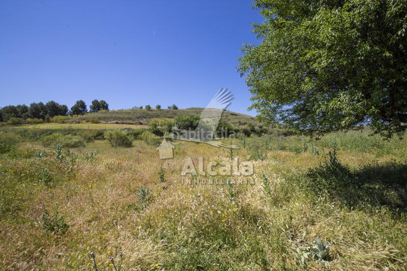 Foto 6c38ad07-8672-485d-a117-1146066cfaf9. Residential plot in Santos de la Humosa (Los)