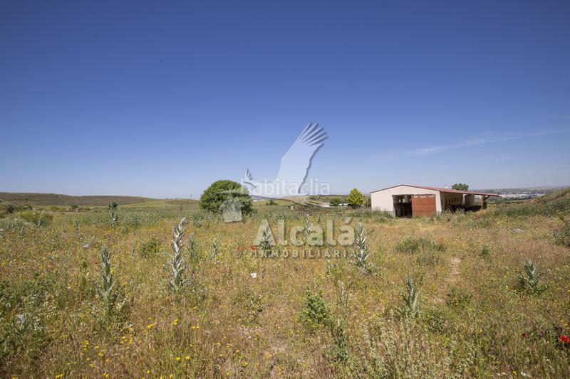 Foto 8cb26b3e-f4b1-4bbd-b3cd-b91d8e93aa8e. Residential plot in Santos de la Humosa (Los)