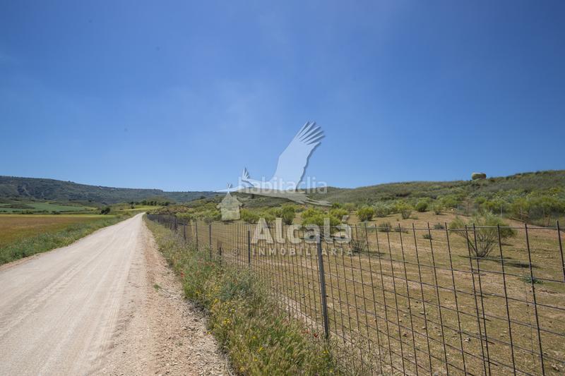 Foto 8f8c1295-7ee6-452c-a1d0-08bcb044b23e. Residential plot in Santos de la Humosa (Los)