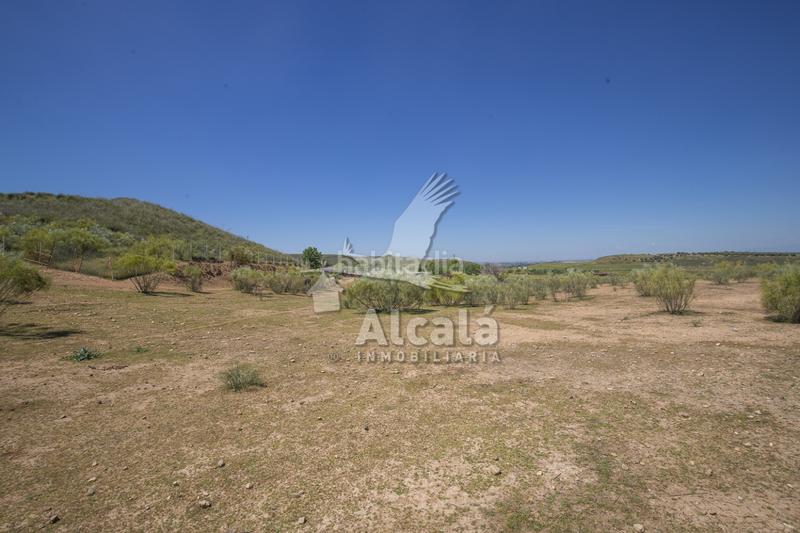 Foto 919c6c41-237d-4378-b459-90a428db29c6. Residential plot in Santos de la Humosa (Los)