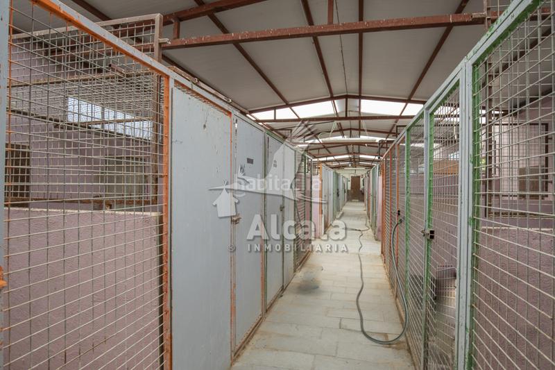 Foto 961baa1b-671e-4a3a-8468-ec70c5f9b9f5. Residential plot in Santos de la Humosa (Los)