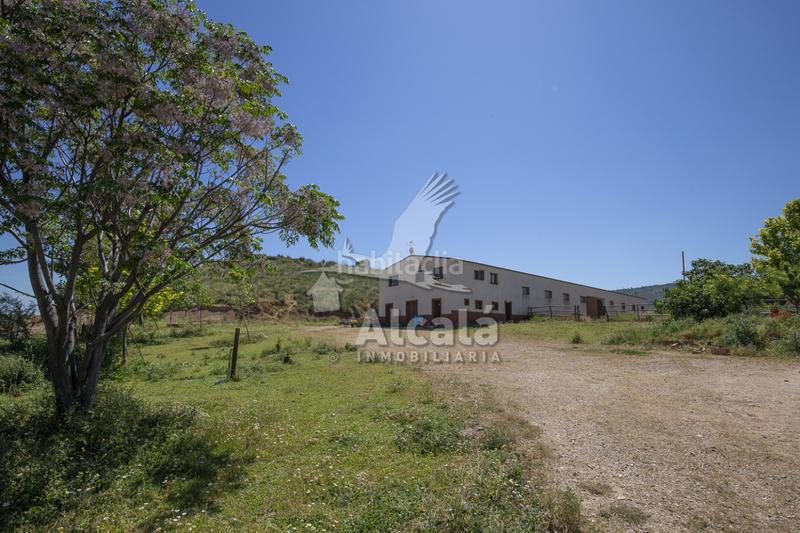 Foto ae45e37b-835b-461e-bc22-2dad213eedf5. Residential plot in Santos de la Humosa (Los)