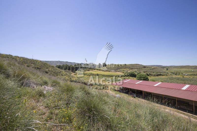 Foto ae70a422-970a-4180-b767-8bb1cf09591c. Residential plot in Santos de la Humosa (Los)