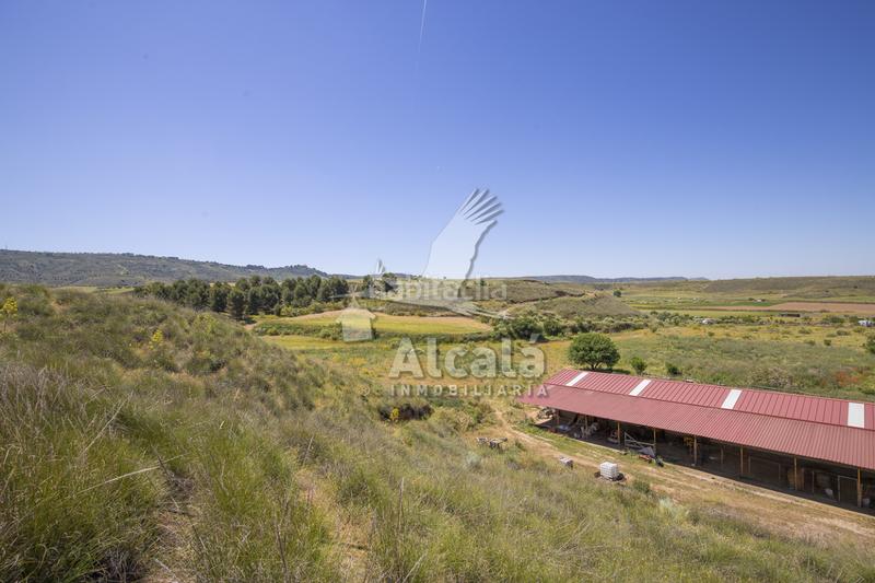 Foto b203d314-eab5-43a2-8f5a-917c56b81906. Residential plot in Santos de la Humosa (Los)