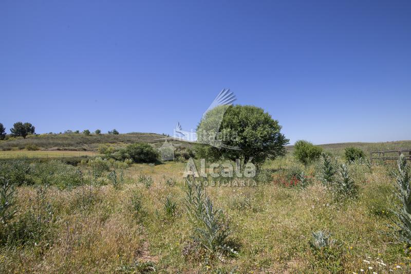 Foto c82e7419-0bd7-4b95-a94d-cfa92402f5d8. Residential plot in Santos de la Humosa (Los)