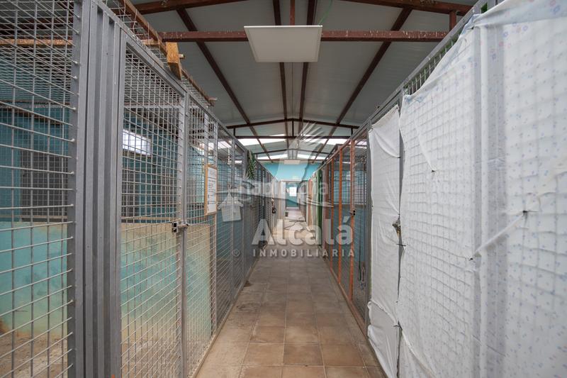 Foto d2694ed6-3e8c-49bb-8350-a27029ee27f7. Residential plot in Santos de la Humosa (Los)