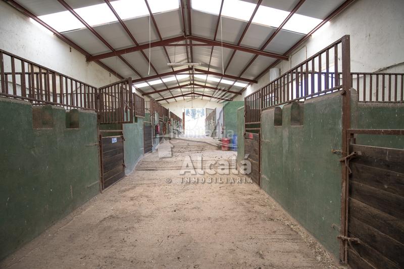 Foto e3da7c5f-f3a5-46f1-8fc9-1199e4752491. Residential plot in Santos de la Humosa (Los)