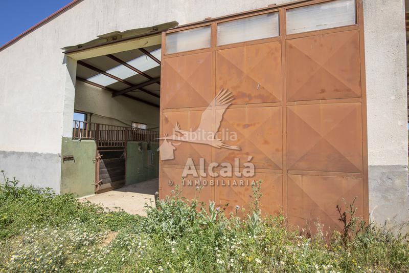 Foto e3de2f0f-c790-4887-8f59-a3c8f3a98267. Residential plot in Santos de la Humosa (Los)