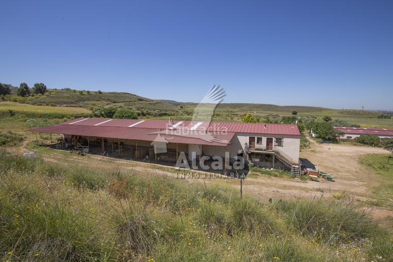 Foto e4356884-3880-46b6-a02f-702683a66e5b. Residential plot in Santos de la Humosa (Los)