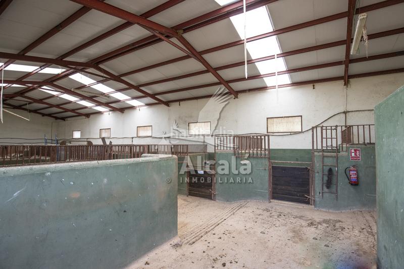 Foto eff88c55-ff11-42c4-bab7-1e1ff037b1b1. Residential plot in Santos de la Humosa (Los)