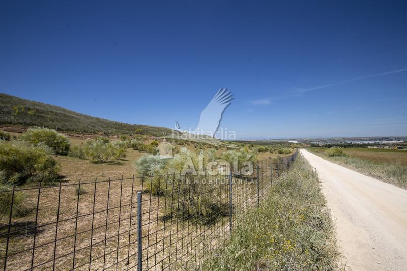 Foto f6e9df27-c7fd-4af8-a695-b1f58051a70f. Residential plot in Santos de la Humosa (Los)