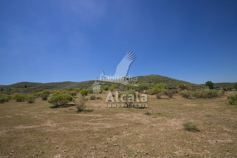 Foto f87627a3-3c20-4ca0-add9-35c782131502. Residential plot in Santos de la Humosa (Los)