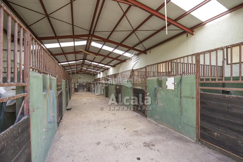 Foto fcde3bb1-a282-4875-a03d-3d6dc0c0cc58. Residential plot in Santos de la Humosa (Los)