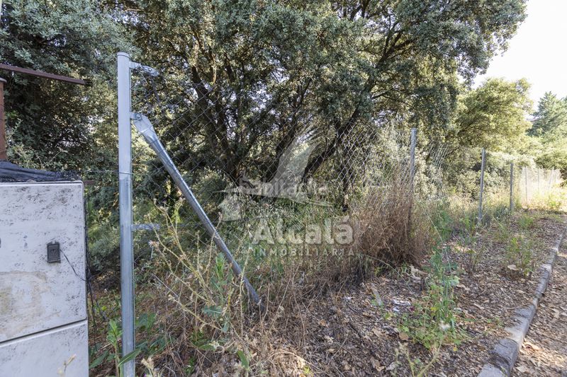 Foto 1a7de0b4-57fa-4e72-8a83-02e390ae7f14. Finca rústica a Fuentenovilla