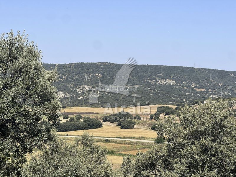 Foto 46c3bae2-aad4-49d4-9f95-2a8bb7d8d506. Finca rústica a Fuentenovilla