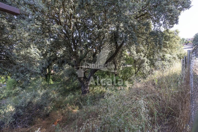 Foto 4bf7f7c9-563a-4658-b7a9-3087fd024358. Finca rústica a Fuentenovilla