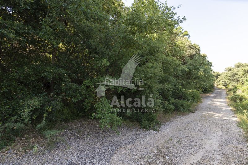 Foto a129a12e-e6b9-4577-9ff8-f06c1a74ccb2. Finca rústica a Fuentenovilla