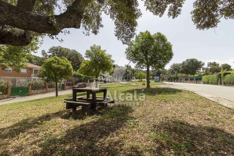 Foto bd7ce3ca-8e9e-4786-83ba-5370e1d48641. Finca rústica a Fuentenovilla