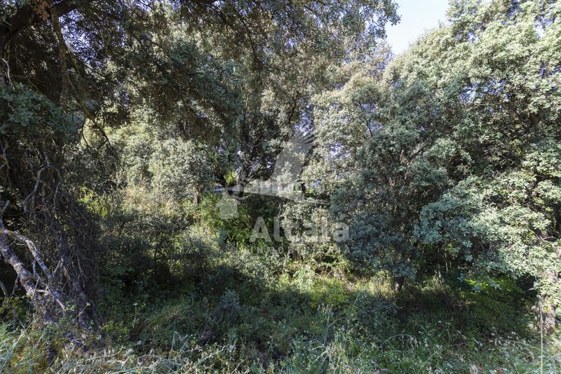 Foto cad8a03d-8ea1-4639-9218-36807590bb7d. Finca rústica a Fuentenovilla