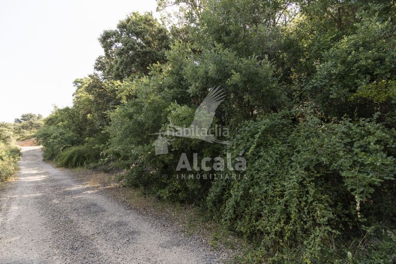 Foto d581394c-22d4-4785-b1c1-73bb3a5171e0. Finca rústica a Fuentenovilla