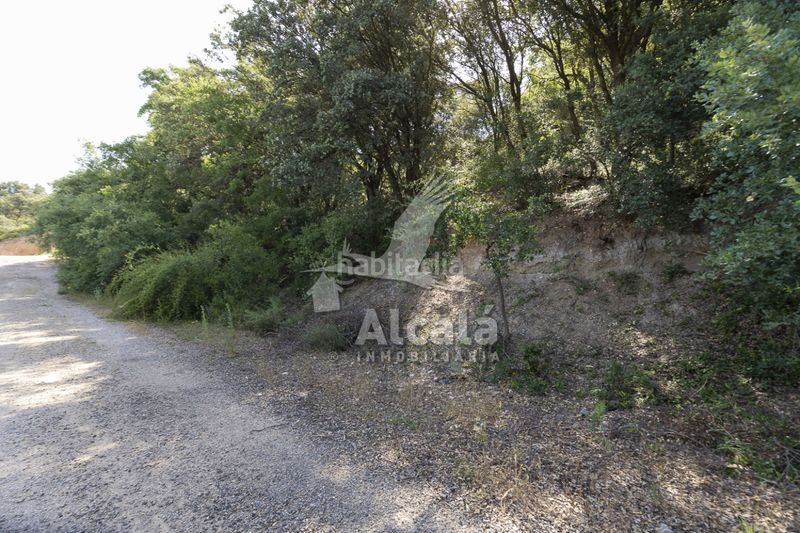 Foto e3dff7cf-c59c-4a62-892f-fa57192267dd. Finca rústica a Fuentenovilla