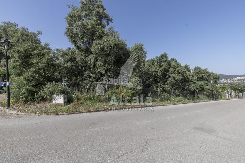 Foto 061cb81c-e264-4565-ad75-04d906733e75. Terreny residencial a Fuentenovilla