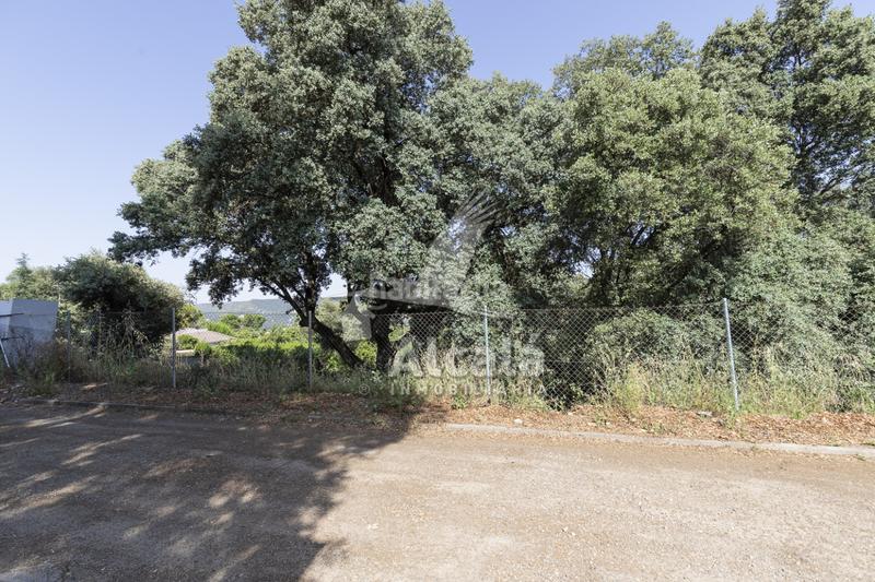 Foto 228bcab3-89fe-482b-bf41-5a5e25712a5f. Terreny residencial a Fuentenovilla