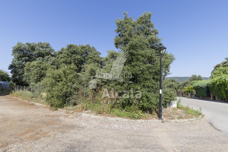 Foto 23ac1f10-961b-46e1-8fa0-56f1dd5fbe96. Terreny residencial a Fuentenovilla