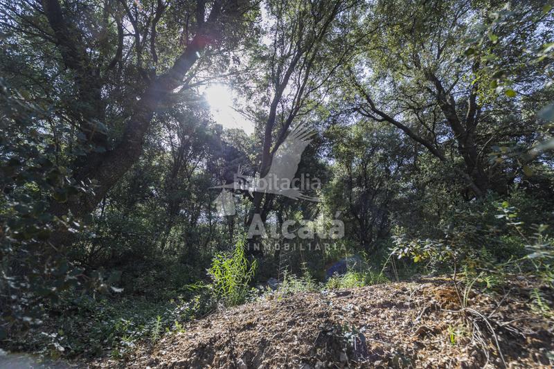 Foto 2a5f5cbb-886d-404b-b4d8-493863e39c67. Terreny residencial a Fuentenovilla