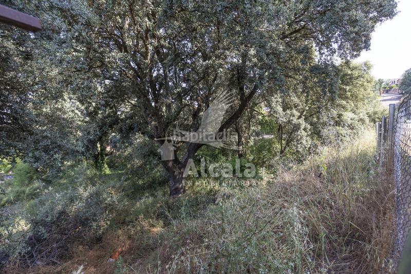 Foto 4bf7f7c9-563a-4658-b7a9-3087fd024358. Terreny residencial a Fuentenovilla