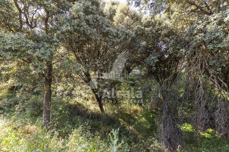 Foto 53281bed-0229-4cd5-802b-c62cc48682f8. Terreny residencial a Fuentenovilla