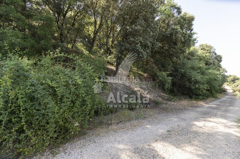 Foto 6bf1a1c0-3d8c-4e25-89a0-bc13fc1152ac. Terreny residencial a Fuentenovilla
