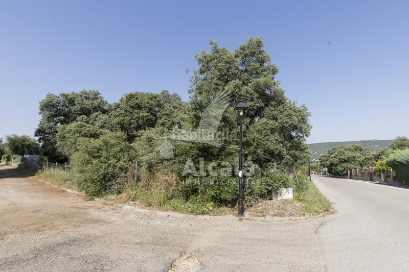 Foto 79a5367f-511d-4c68-82e9-2e3b9487ad66. Terreny residencial a Fuentenovilla