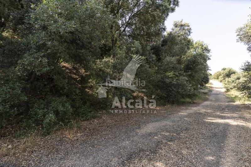 Foto 7e545951-c06d-4990-84a4-904885d05daf. Terreny residencial a Fuentenovilla