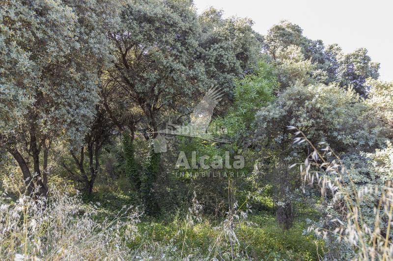 Foto 7fb38aa3-2a02-478a-866f-000b2e210d22. Terreny residencial a Fuentenovilla