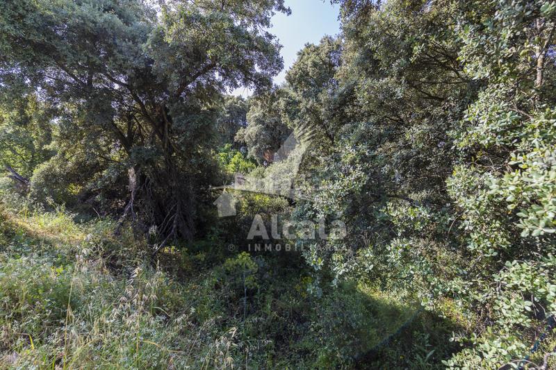 Foto 8327fdac-abc1-42d6-947a-9e388ee49e5e. Terreny residencial a Fuentenovilla