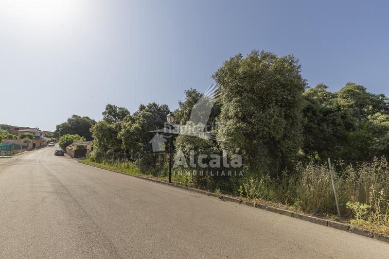 Foto 8f07a1b4-1c80-4690-8d1c-9b73ce7a7bd8. Terreny residencial a Fuentenovilla