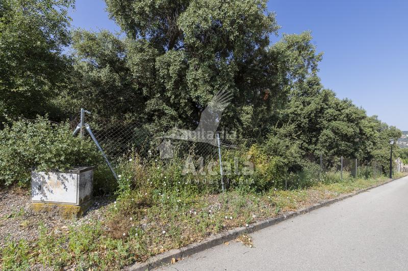Foto a45a3a11-4f9f-40dd-8988-9e260be89132. Terreny residencial a Fuentenovilla