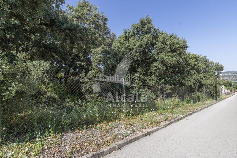 Foto a742d6a4-22f5-4339-aa4f-959d242f429f. Terreny residencial a Fuentenovilla