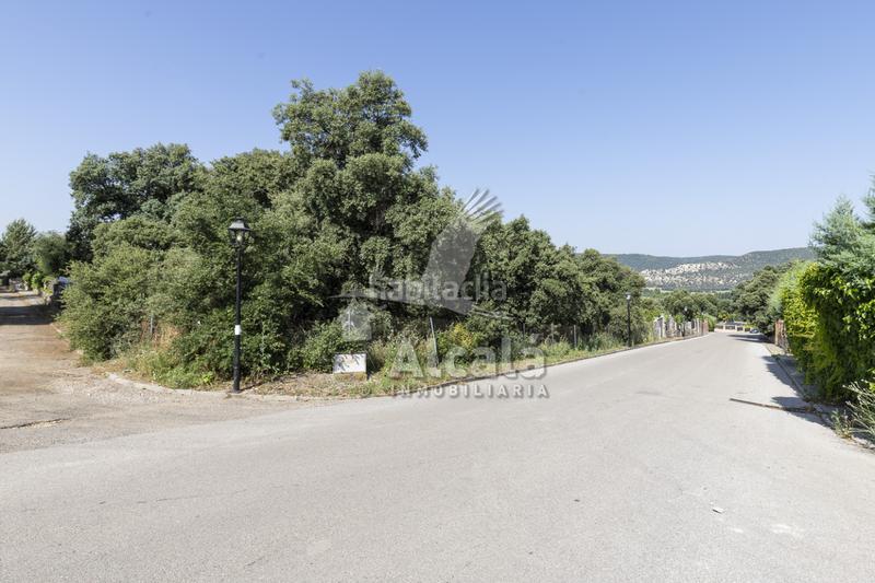 Foto ab8a5f0f-0618-44ef-8a41-164c3ec2a2fe. Terreny residencial a Fuentenovilla